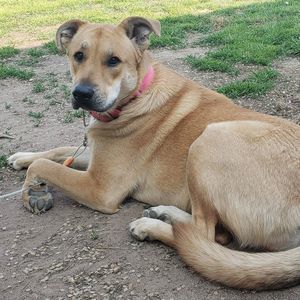 Meet your Posher, Holly